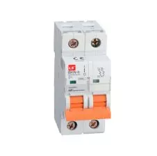 Interruptor Automatico Bipolar 2x 63a Curva D Ruptura 10ka